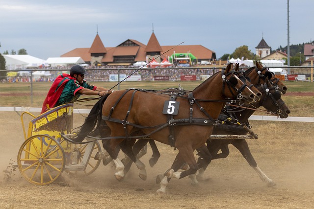 故事線的敘 故事線的敘